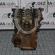 Bloc motor gol, CFHB, Vw Golf 6, 2.0tdi (pr:110747)