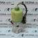 Pompa servo directie 6Q0423156AB, Vw Polo (9N) 1.2b, AZQ (pr:110747)