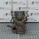 Bloc motor gol BKC, Vw Passat (3C) 1.9tdi (pr:110747)