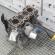 Bloc motor cu pistoane si biele, K9KB410, Nissan Qashqai 1.5dci (pr:110747)