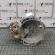 Cutie viteza manuala DUU, Seat Leon (1M1) 1.6benzina, AUS (pr:110747)