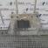 Scut motor, 7028433, Bmw 3 Touring (E46) (id:257020)
