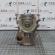 Bloc motor CJCD, Audi Q5, 2.0tdi (pr:111745)