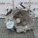 Cutie viteza manuala LVE, Seat Ibiza 5 Sportcoupe (6J1) 1.4benzina, CGG