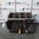 Bloc motor gol AWX, Audi A6 (4B, C5) 1.9tdi (id:250249)