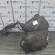 Rezervor combustibil 1K0201085Q, Vw Golf 6 (5K1) 1.4tsi