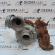 Turbosuflanta 03G253018A, Vw Touran (1T1, 1T2) 2.0tdi (id:284479)