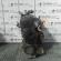 Motor ASZ, Seat Leon (1M1)
