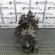 Motor, F6JB, Ford Fusion (JU), 1.4tdci, F6JB