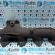 Galerie evacuare Bmw X1 (E84) 2.0d, 7810182-03