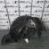 Carenaj dreapta fata, 5171-7033750, Bmw 5 (E60)