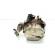 Pompa vacuum GM55268135, Fiat Doblo Cargo (223) 1.3jtd