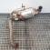 Catalizator cu filtru particule 9M51-5H270-DA, Ford Focus 2 combi (DA) 1.6tdci
