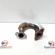Conducta gaze, Vw Passat Variant (365) 2.0 tdi, cod 03P131521B (id:368477)