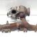 Turbosuflanta, Fiat 500X, 1.6 m-jet, 55266228
