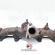 Galerie evacuare, Audi A4 Avant (8ED, B7) [Fabr 2004-2008] 2.0 tdi, BPW, 038253033H (id:423454)