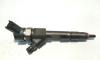 Injector, cod 8200100272, 0445110110B, Renault Megane 2 Combi, 1.9 DCI, F9Q800 (idi:467248)