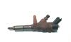 Injector, cod 9641742880, 0445110076, Peugeot Expert (I) 2.0 hdi, RHX,  (idi:449951)