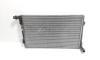 Radiator racire apa, cod 3C0121253S, Vw Passat (3C2) 1.9 TDI, BLS (id:498196)