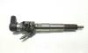 Injector cod 8201100113, 166006212R, Nissan Qashqai (2) 1.5 DCI, K9K646 (id:503313)