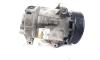 Compresor clima, cod 8200309193, Renault Scenic 3, 1.9 DCI, F9Q812 (id:524483)