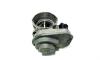 Clapeta acceleratie, cod 038128063G, VW Golf 5 (1K1), 1.9 TDI, BXE (idi:531806)