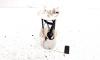 Pompa combustibil rezervor, cod GM13577226, Opel Insignia A, 2.0 CDTI, A20DTH (id:540700)
