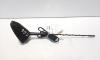 Antena radio cu navigatie, cod 282160004R, Renault Megane 3 (id:544842)