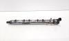 Rampa injectoare cu senzori, cod 780912803, 0445214183, Bmw 5 Gran Turismo (GT), 2.0 diesel, N47D20C (idi:551525)