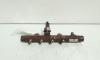 Rampa injectoare cu senzor, cod 8200397346, Renault Megane 2 Combi, 1.5 DCI, K9K732 (idi:581540)