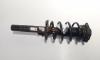 Amortizor fata, Skoda Superb II Combi (3T5), 2.0 TDI, CFF (id:590689)