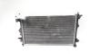 Radiator racire apa, cod GM13241725, Opel Insignia A, 2.0 CDTI, A20DTH (id:596668)