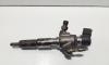 Injector Continental, cod 9674973080, Ford Focus 3, 1.6 TDCI, T1DA (id:630052)