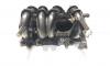 Galerie admisie, cod 7700273860, Dacia Logan (LS), 1.4 benz, K7J710 (id:630496)