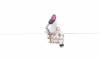 Preincalzitor apa, cod 1355163, Nissan Juke, 1.5 DCI, K9K608 (id:637249)