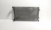 Radiator racire apa, VW Golf 5 (1K1) (id:648877)