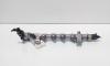 Rampa injectoare cu senzori, cod 03L130089P, Vw Passat Alltrack (365) 2.0 TDI, CFF (idi:648970)