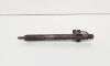 Injector Delphi, cod A6460700987, Mercedes Clasa E (W211) 2.2 CDI, OM646821 (id:649945)