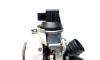Supapa turbo electrica, VW Eos (1F7, 1F8) 2.0 TDI, CFF (idi:533807)