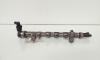 Rampa injectoare cu senzori, cod 03L130089P, Vw Golf 6 (5K1) 2.0 TDI, CFF (id:654184)