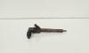 Injector, cod 0445110243, Opel Vectra C 1.9 CDTI, Z19DTH (id:661195)