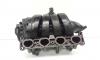 Galerie admisie cu clapete, cod 55571532, Opel Vectra C, Z18XER (id:663320)