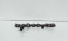 Rampa injectoare cu senzori, cod 8200620689, 0445214113, Renault Megane 3, 1.9 DCI, F9Q754 (idi:663401)