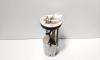Pompa combustibil rezervor, cod 17040BB50A, Nissan Qashqai, 1.6 DCI, R9M402 (id:670101)