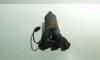 Catalizator, cod 24410080, Opel Astra G Combi (F35), 1.0 benz, Z10XEP (idi:665694)