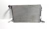 Radiator racire apa, cod 3C0121253R, Vw Passat Variant (3C5) 2.0 TDI, BMP (id:673345)