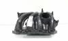 Galerie admisie, cod 036129709, Skoda Roomster (5J) 1.4 benz, BXW (idi:665067)