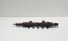 Rampa injectoare cu senzor, Ford Transit Platforma, 2.2 TDCI, P8FA (id:675025)