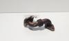 Conducta gaze, cod 03G131521T, Skoda Octavia 2 Combi (1Z5) 2.0 TDI, BKD (idi:675783)