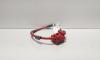 Borna baterie (+) cu capsa si senzor, cod 6982227-02, Bmw 3 Touring (E91) (idi:674610)